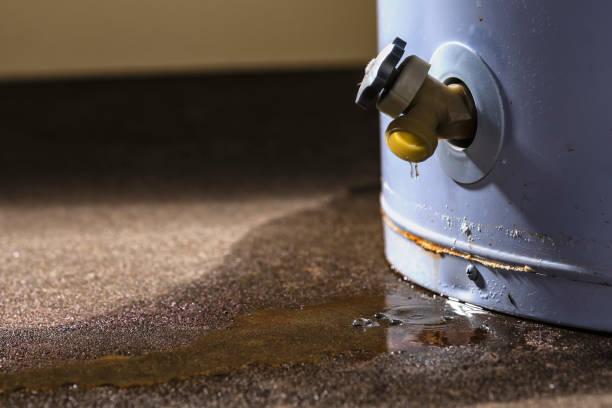 Carpet water damage restoration in Elba, AL