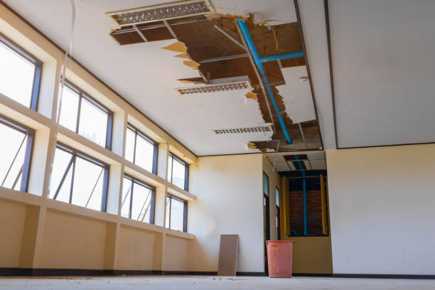Best Water damage cleanup near me  in Elba, AL