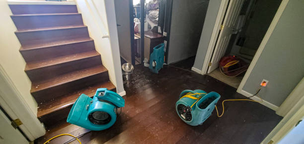 Best Water damage restoration near me  in Elba, AL