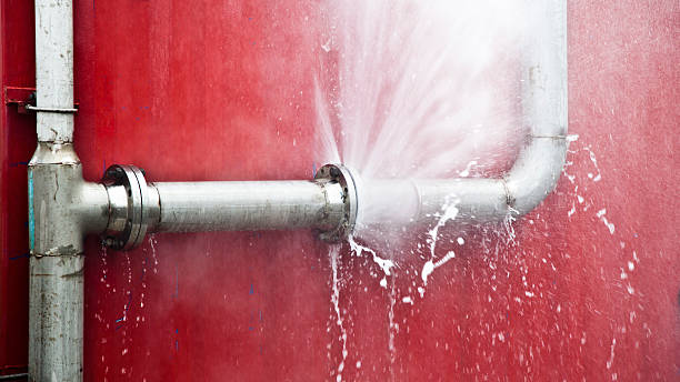 Best 24-hour water damage restoration  in Elba, AL
